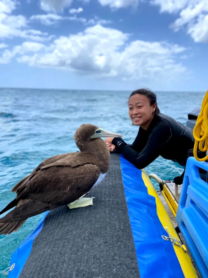 a bird standing next to a body of water