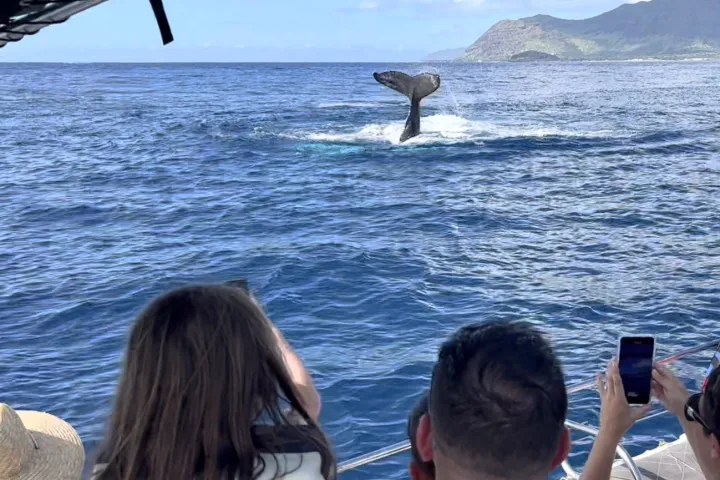 a group of people standing in front of a body of water