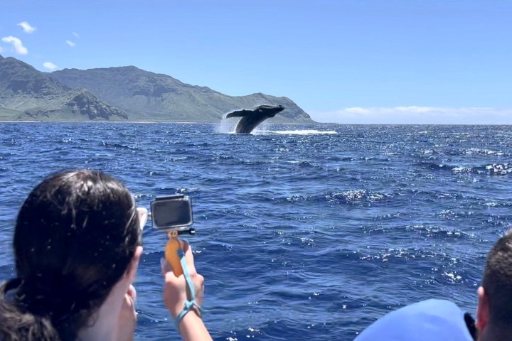 a group of people standing next to a body of water