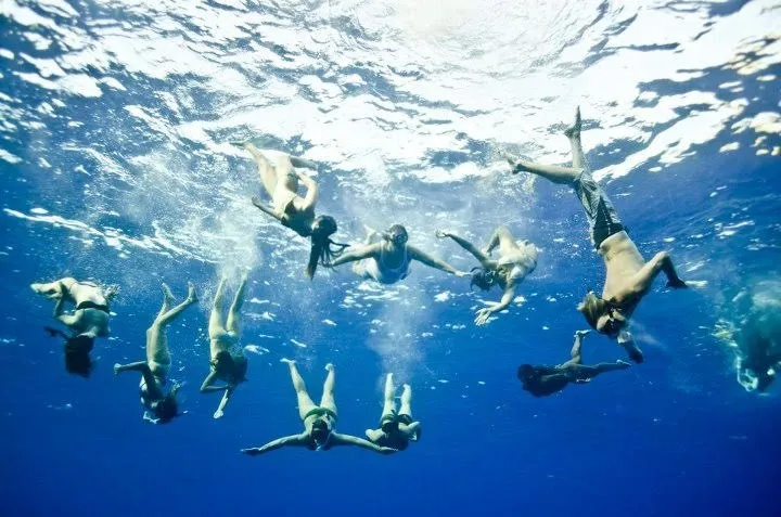 a flock of seagulls flying over a body of water